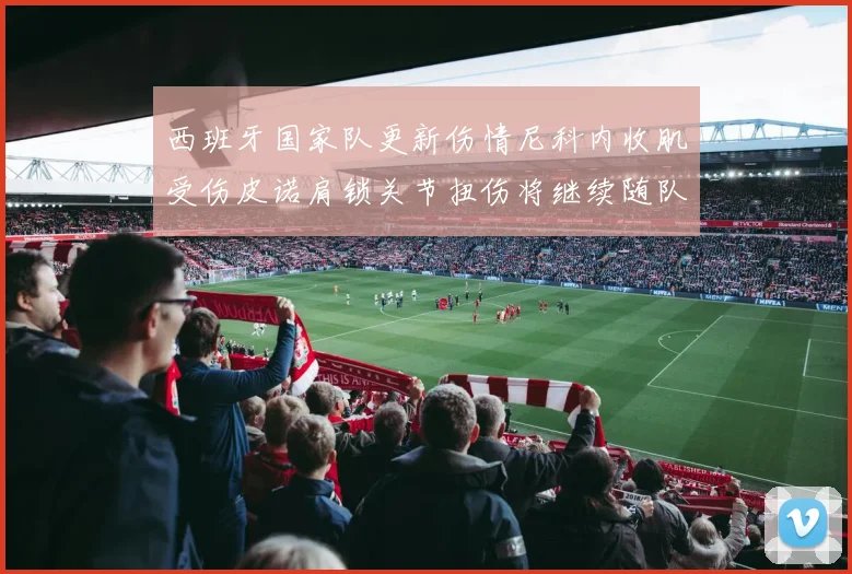 西班牙国家队更新伤情尼科内收肌受伤皮诺肩锁关节扭伤将继续随队训练